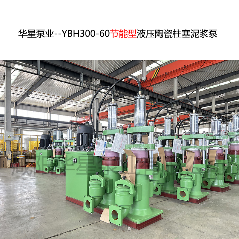 洗沙廠使用華星YBH300-60泥漿柱塞泵現(xiàn)場(chǎng)視頻